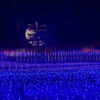 名花之里主燈飾【天空之船】