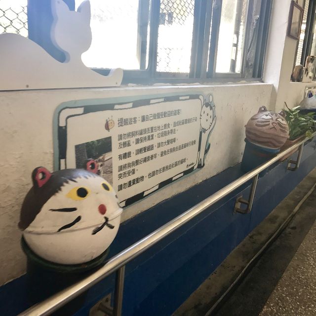 대만 허우통 고양이마을 🐈🐈‍⬛