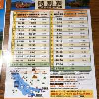 出發吧！海賊觀光船 🚢 