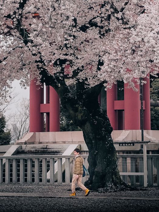 Ikegami Honmon-ji temple, Tokyo 🇯🇵