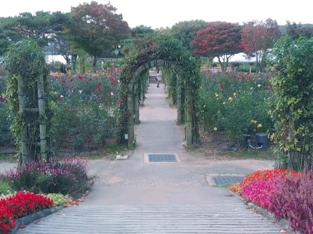 Massive park in seoul