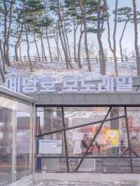 예산 떠오르는 핫플  "예당호 모노레일"