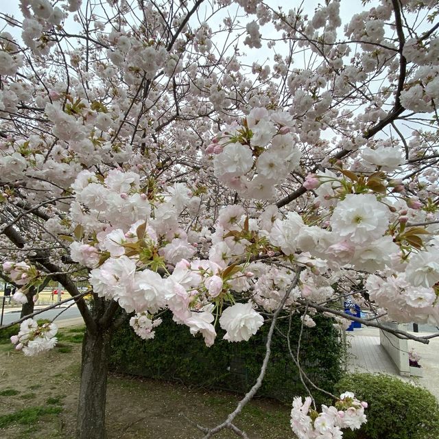 長野市 - 東京郊外旅遊勝地