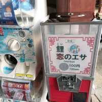 【沖縄】中国式庭園✨福州園