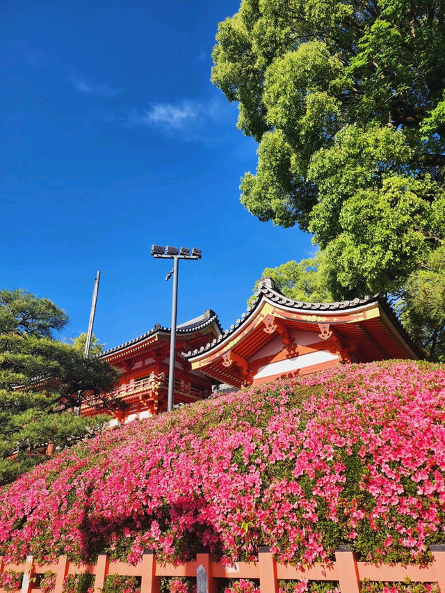 เดินเล่นย่าน Gion 