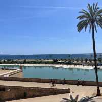 【スペイン】マヨルカ島中心地、パルマ観光🏝️