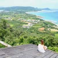 奄美大島の抑えておきたいSPOT🏖️