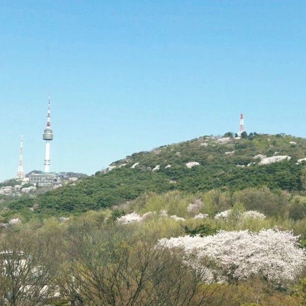 국내 유일 남산뷰를 즐길수 있는 5성급 호텔 그랜드 하얏트 서울