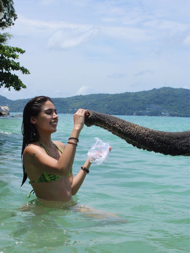 Swim with elephants at Tri Trang beach,Phuket