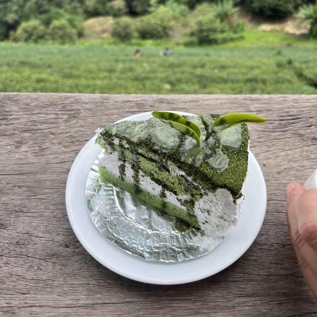 ไร่ชาลุงเดช🍵