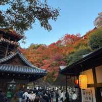 【京都】絶景の清水寺