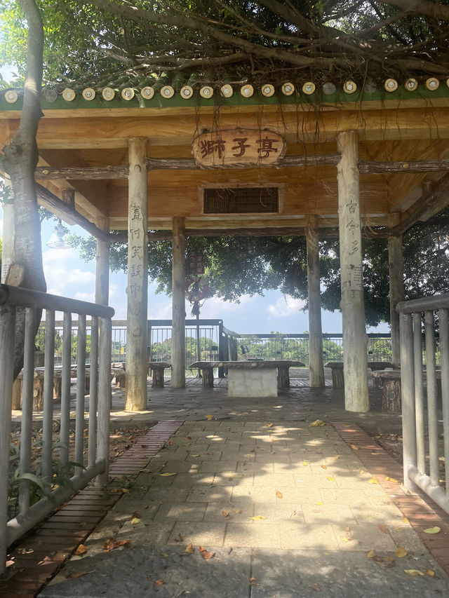 桃園市｜新屋區｜新屋埤環湖步道（桃園大圳12-2號池）