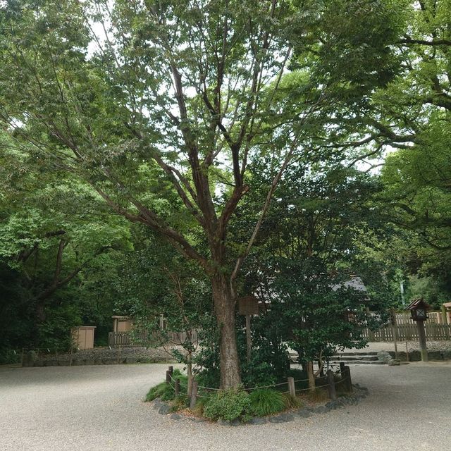 愛知旅行！名古屋市「別宮 八剣宮」
