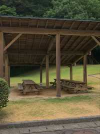 【福井】科学館の公園が広い！