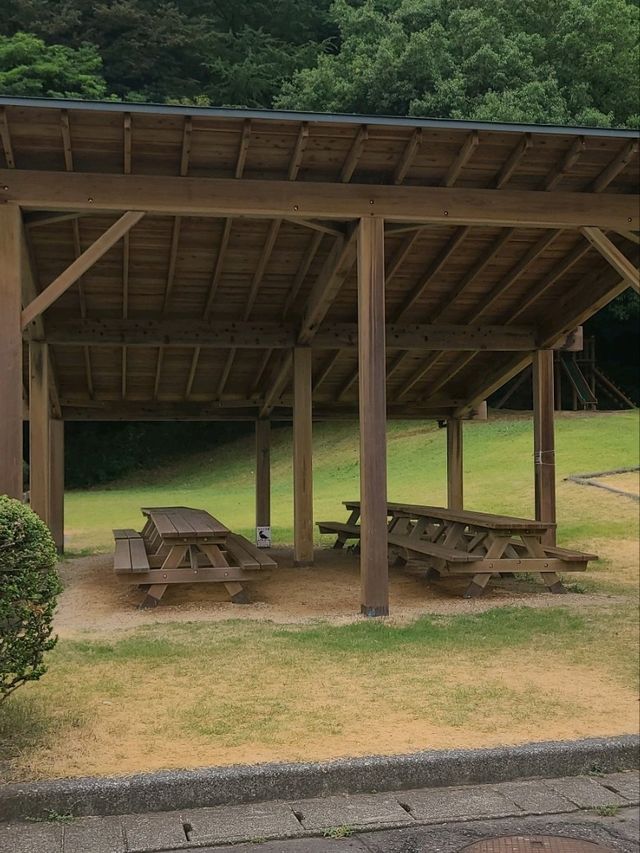 【福井】科学館の公園が広い！