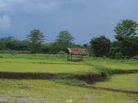 นาตาทา Cafe' & Farm Stay