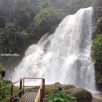 เส้นทางศึกษาธรรมชาติผาดอกเสี้ยว ดอยอินทนนทฺ์