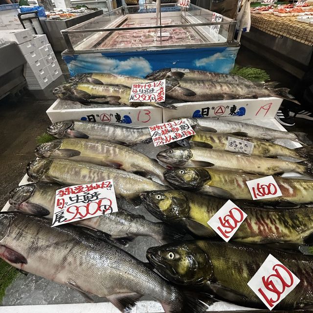 fish market in Niigata prefecture 🎣 