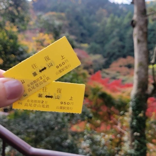 【11中旬〜12上旬が見ごろ！🍁秋の高尾山で紅葉ハイキング】