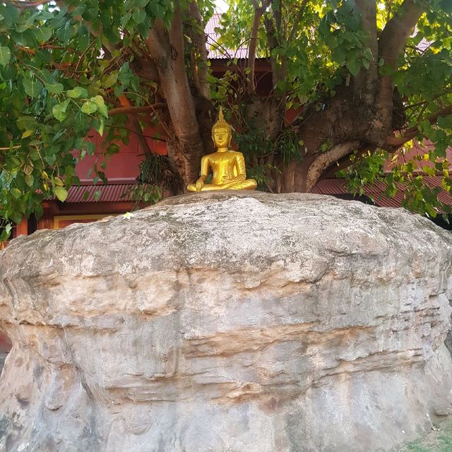 วัดพันเตา จังหวัดเชียงใหม่