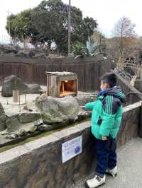 親子遊必去！ #伊豆仙人掌動物園
