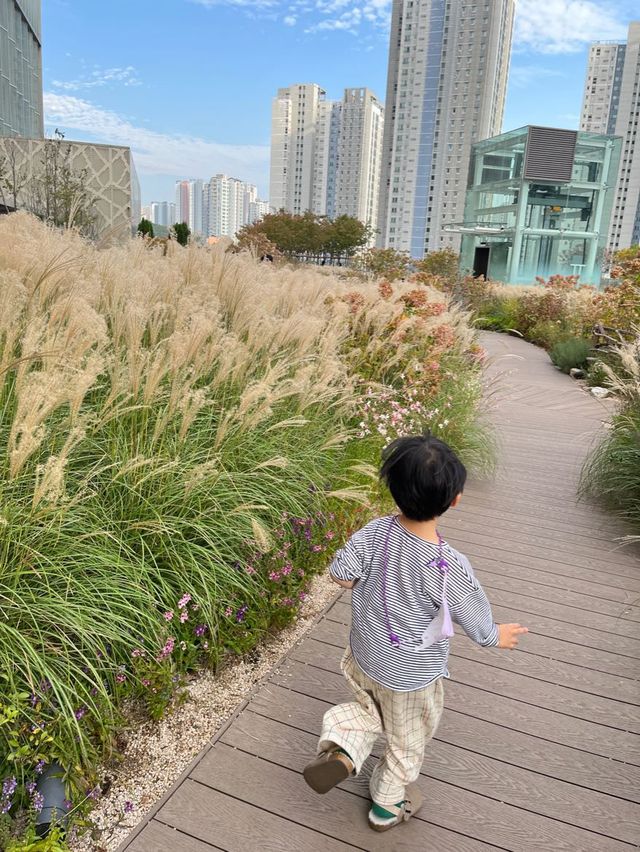 구경하고 사진찍고 맛있고 예쁜곳 많이 있는 백화점 즐기기 -동탄 롯데백화점