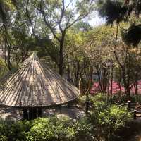 長庚養生文化村（有隱藏版櫻花木棧道八重櫻）