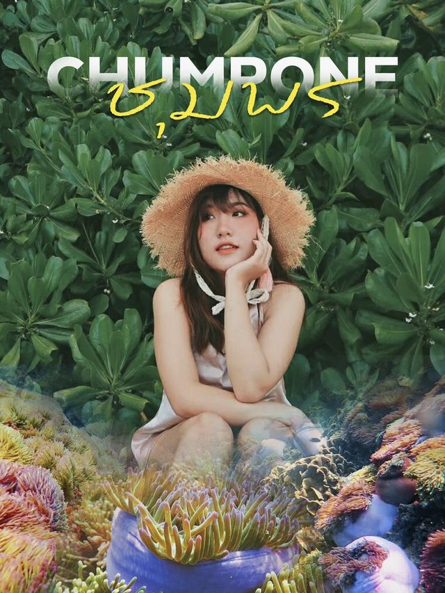 ชุมพร 🌱🍃