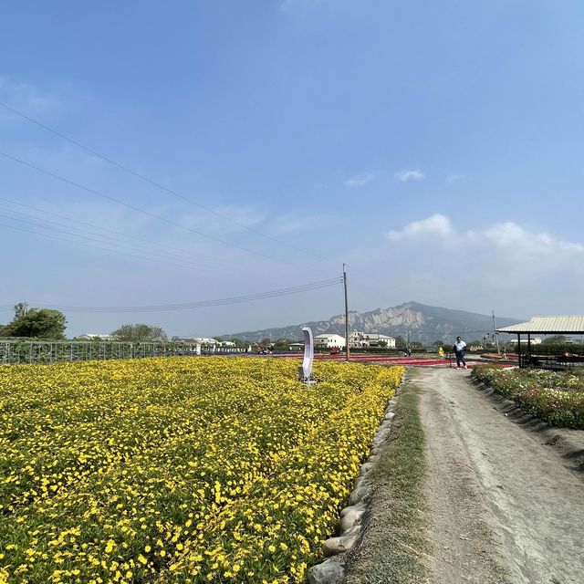 Zhongshe Flower Market, Taichung