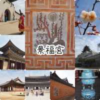 首爾必去✅了解韓國🇰🇷歷史景福宮🫶🏻超大景點👏🏻半日行程之選