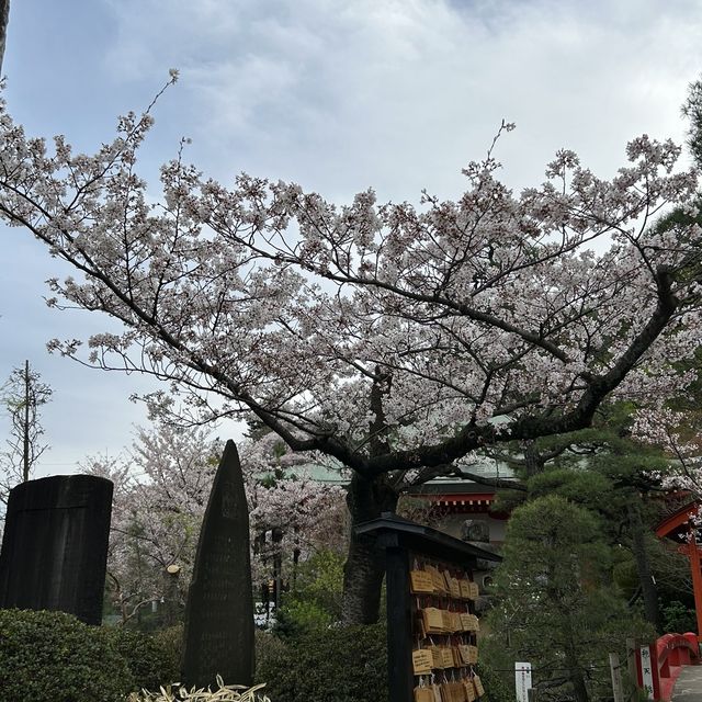 高幡不動尊の境内で美味しいお土産