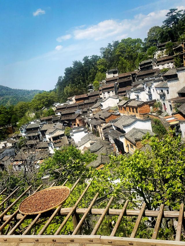 Up to the Mountain 🔝 Wuyuan Huangling 