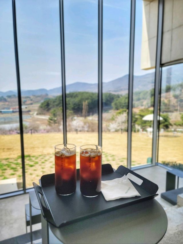 식물복합공간 청도 신상카페 소우모우🌳