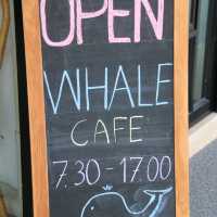 Whale Cafe