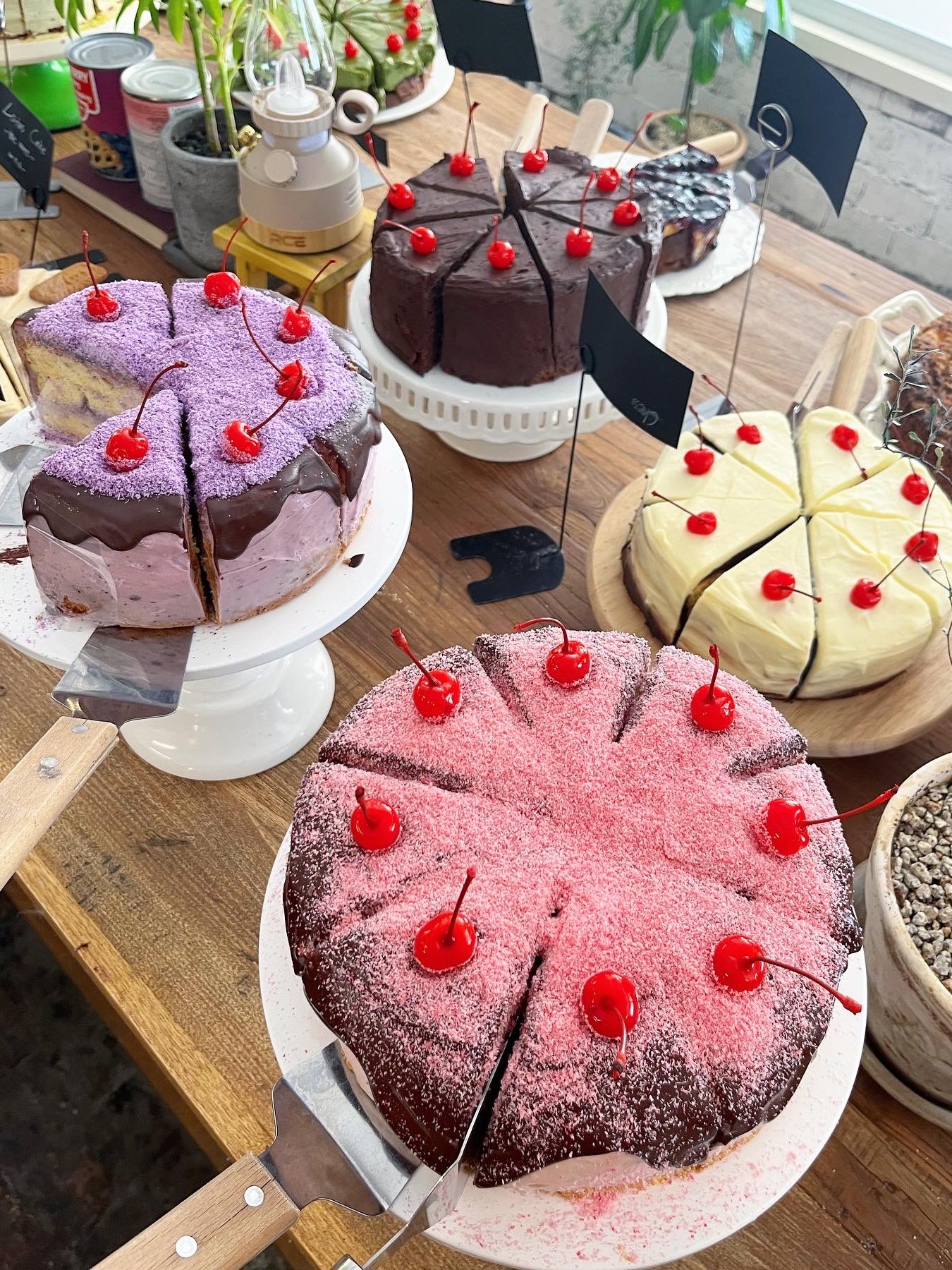 楽山釜 釜山市内観光ツアー 人気スポットを凝縮！甘川文化村＋海東龍宮寺＋