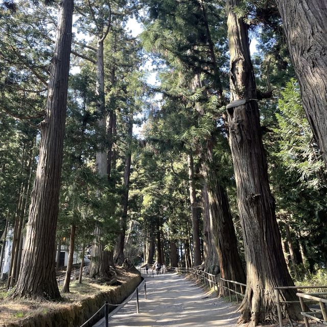 【岩手県/中尊寺,金色堂】世界遺産