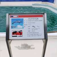 鴨川シーワールドは最強に可愛い生物がいっぱい