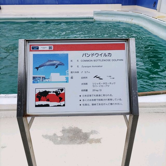 鴨川シーワールドは最強に可愛い生物がいっぱい
