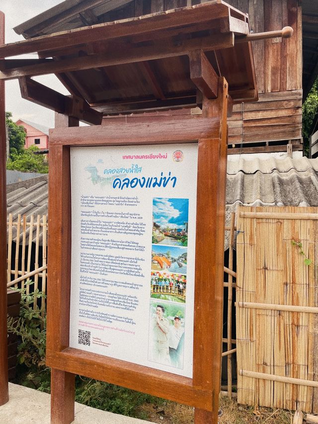 คลองแม่ข่า จุดเช็คอินยามเย็นที่เชียงใหม่ 