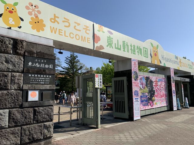 名古屋　名古屋観光　名古屋東山動物園でイケメンゴリラのシャバーニ君に会ってきた！