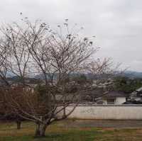 江户風彩🤩杵築城下町🤞🏻日本百大名城🫶🏻唯一三明治城下町