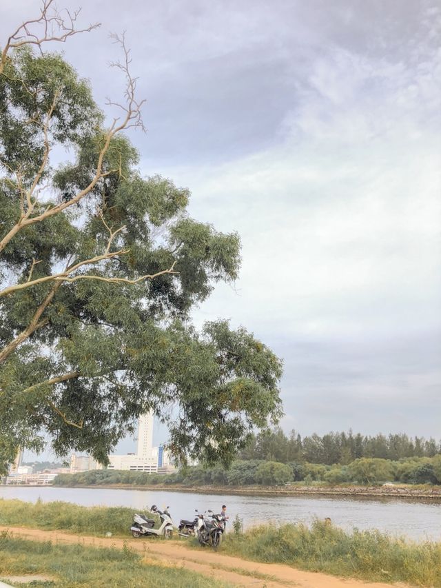 STRATEGIC PLACE FOR PICNIC ON MIRI♥️