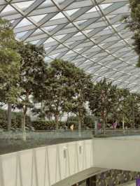 World's Highest Indoor Waterfall