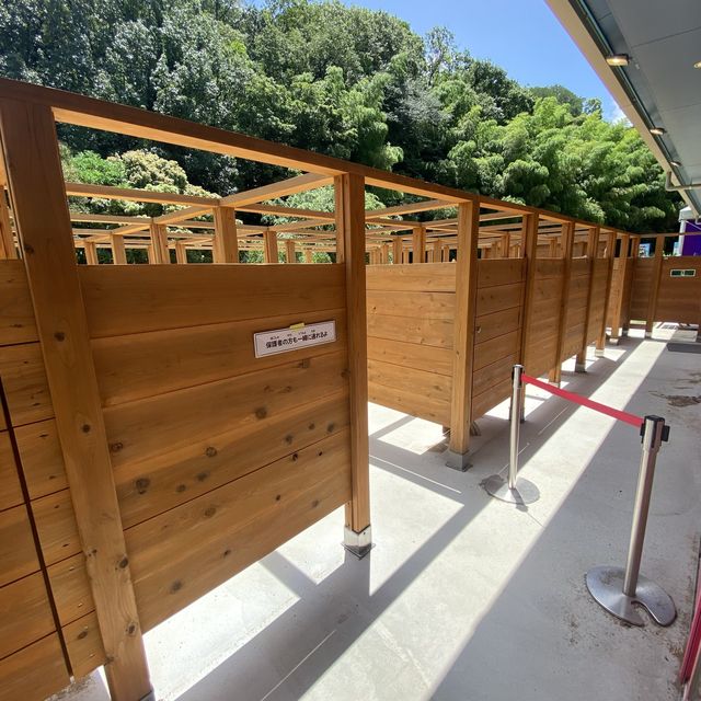 淡路島！ニジゲンノモリ「ふたば幼稚園」クレヨンしんちゃんの世界観が味わえるアトラクション