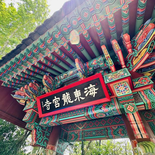 環繞山與海邊的寺廟 - 海東龍宮寺