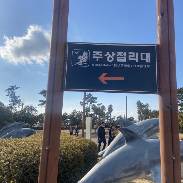 제주올레 8️⃣코스, 대포해안 주상절리대 💙