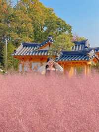 화성에서 남은 가을 즐기러 다녀오기🍂💖 