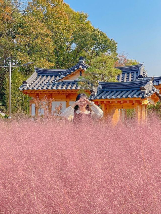 화성에서 남은 가을 즐기러 다녀오기🍂💖 