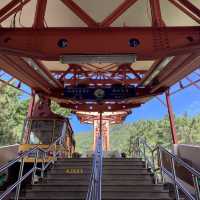［釜山］一小時來回快閃登山～金剛山纜車之旅