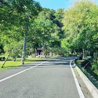 親子情侶全家出遊皆適合的梅花湖